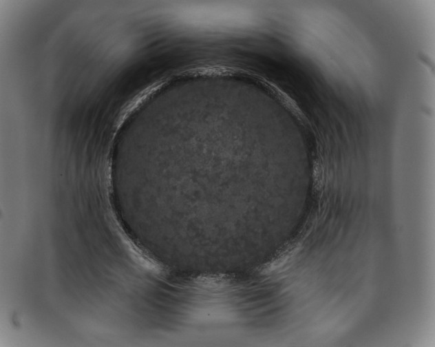 X0000097790725200803071411