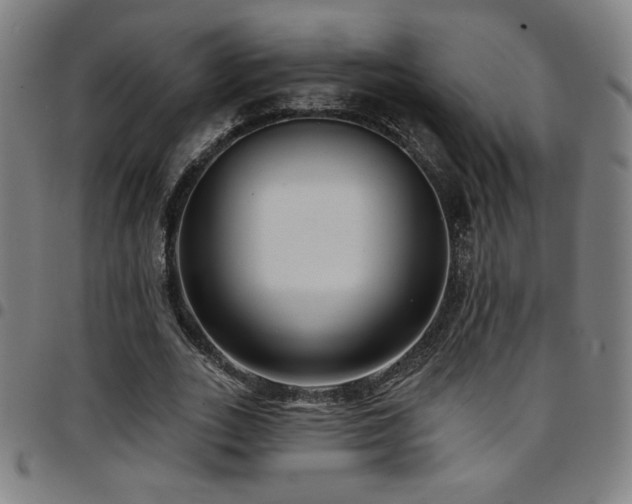 X0000097790727200803071411