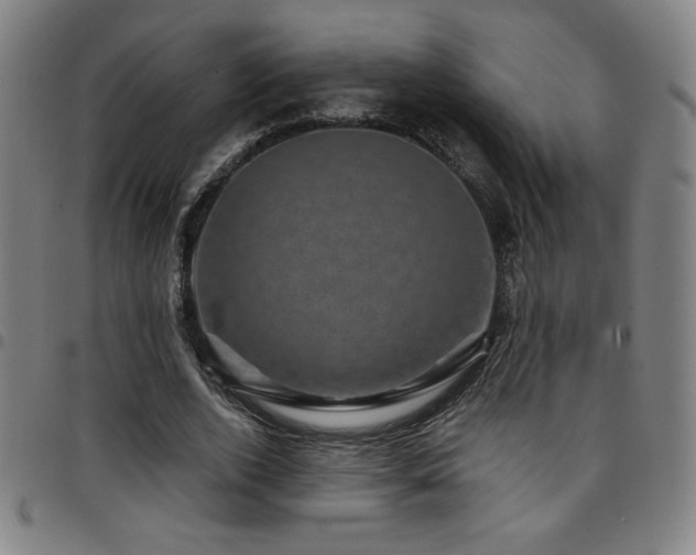 X0000097790728200803071411