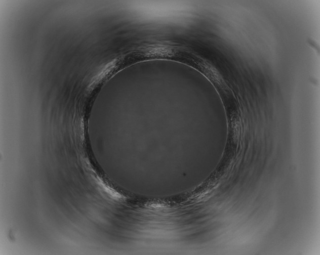 X0000097790729200803071411