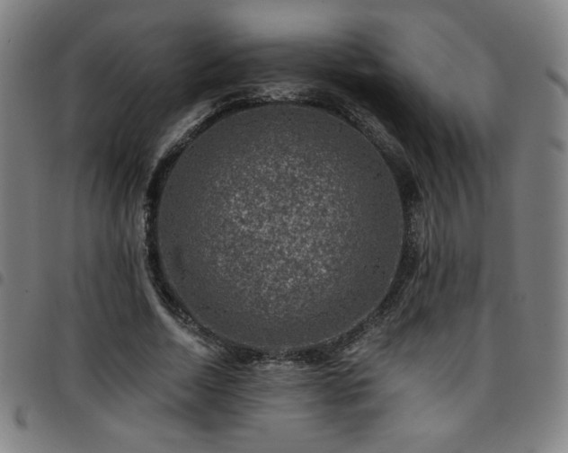 X0000097790730200803071412