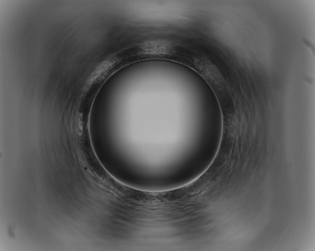 X0000097790731200803071412