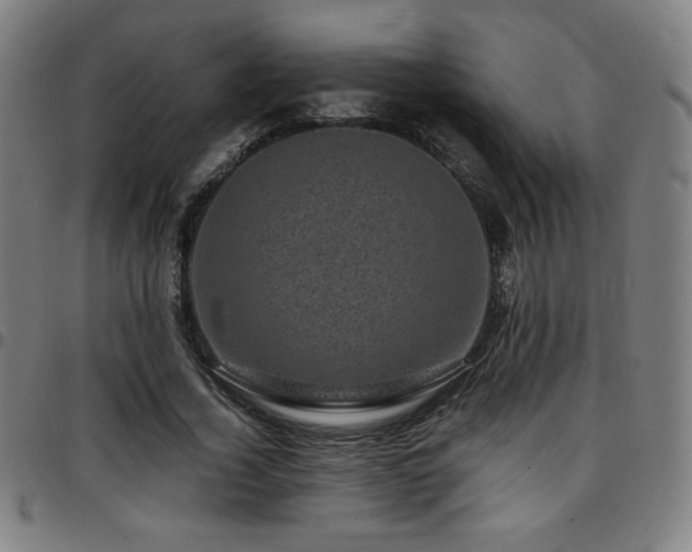 X0000097790732200803071412