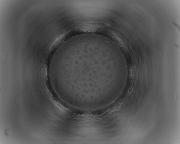 X0000097790733200803071412