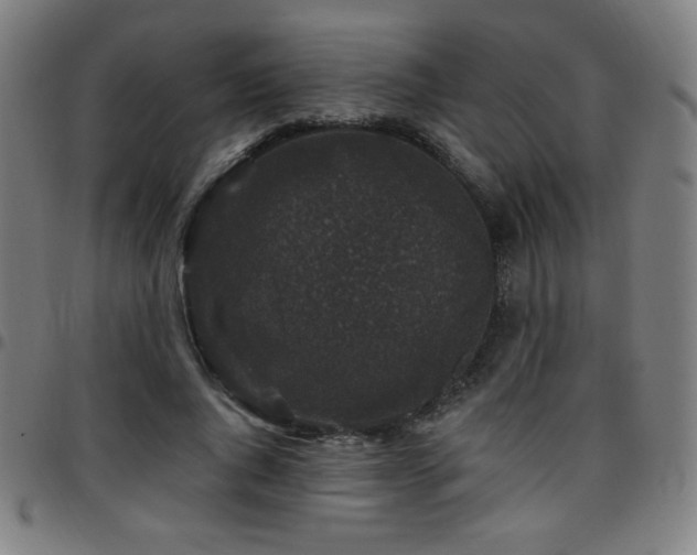 X0000097790736200803071412