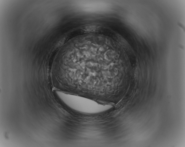 X0000097790737200803071412