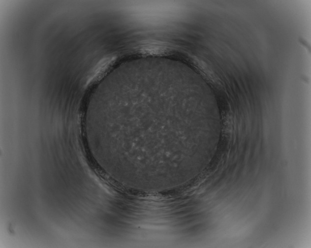 X0000097790738200803071412