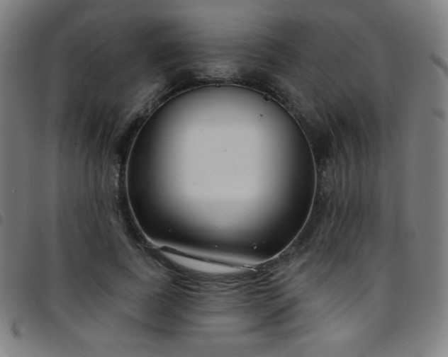 X0000097790739200803071412