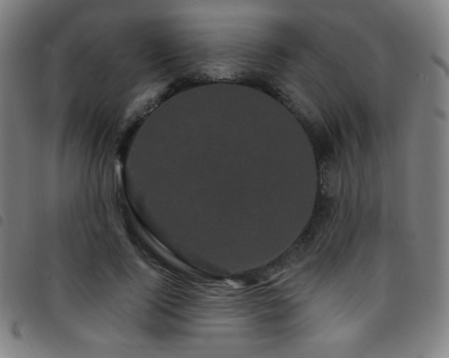 X0000097790740200803071412