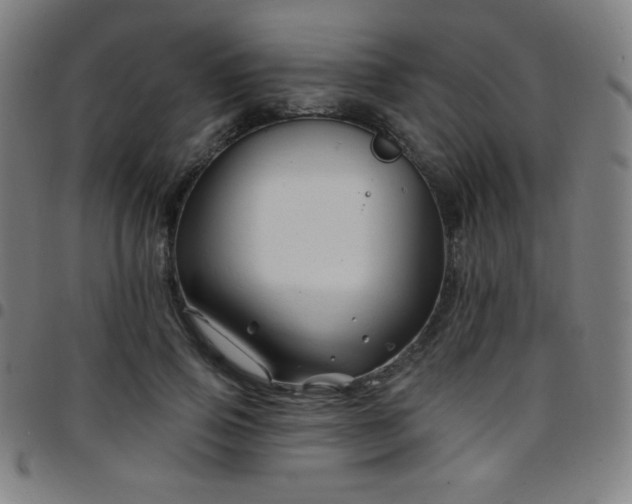 X0000097790741200803071412
