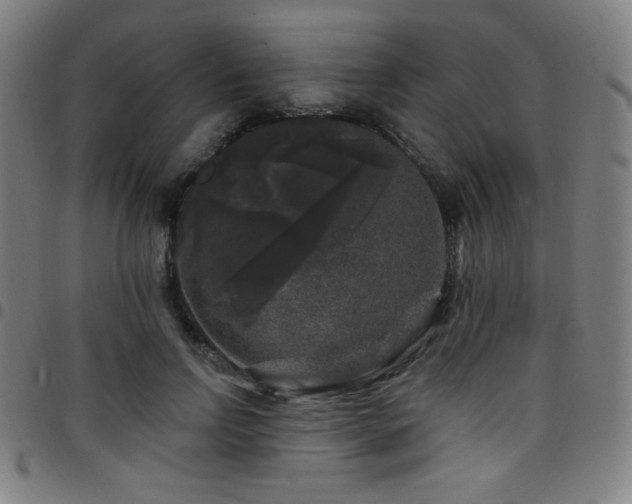 X0000097790742200803071412
