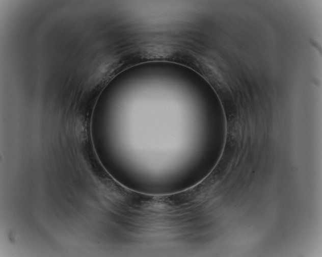 X0000097790743200803071412