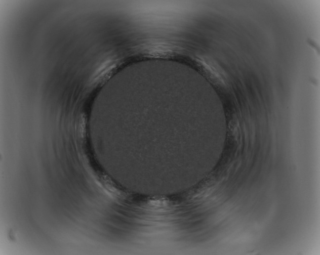 X0000097790744200803071412
