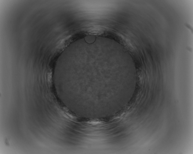 X0000097790745200803071412