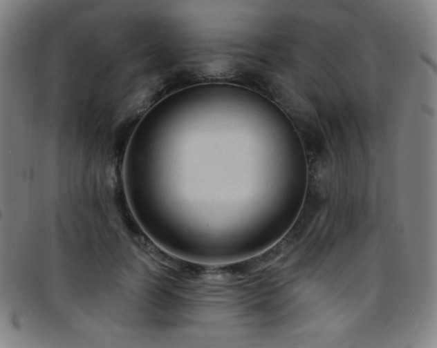 X0000097790746200803071412