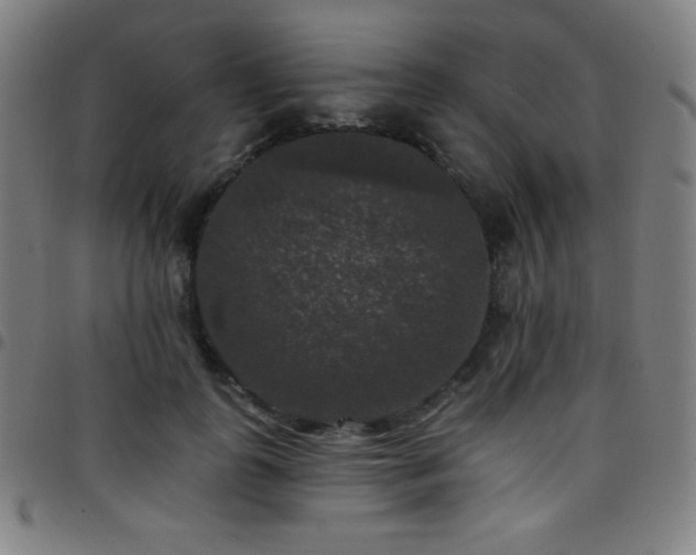 X0000097790747200803071412