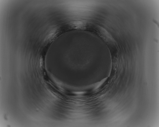 X0000097790748200803071412