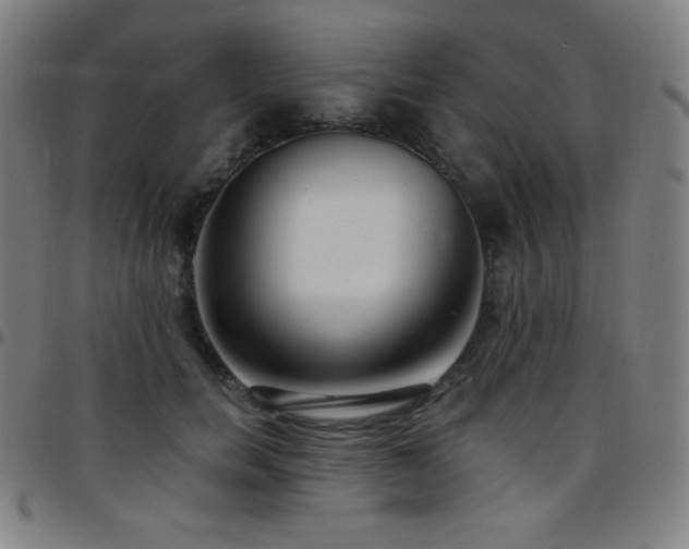 X0000097790750200803071412