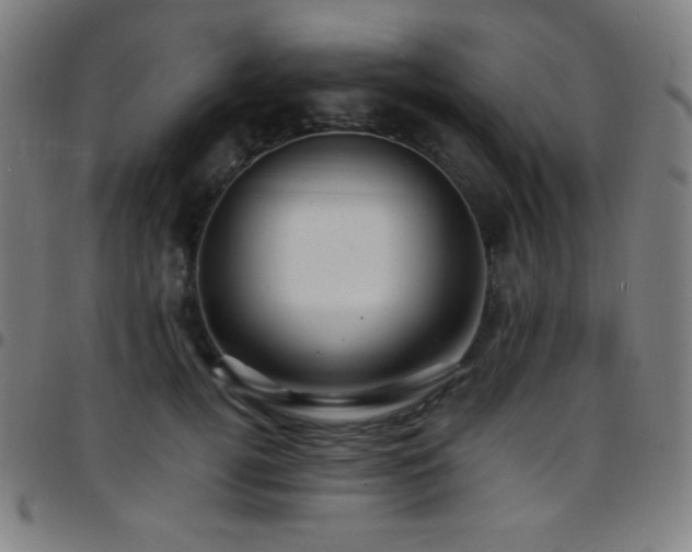X0000097790752200803071412