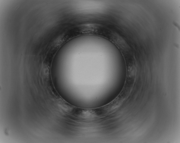 X0000097790753200803071412