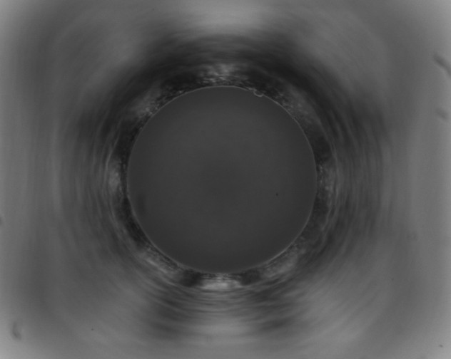 X0000097790754200803071412