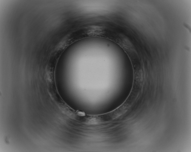 X0000097790755200803071412