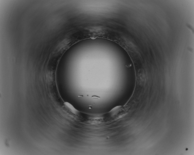X0000097790756200803071412