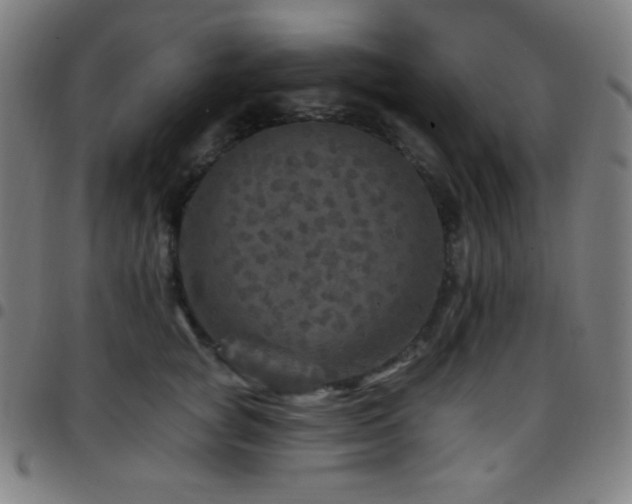 X0000097790757200803071412