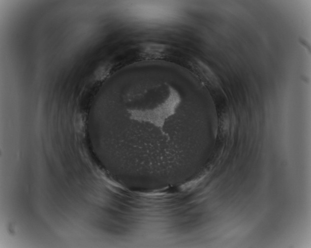 X0000097790759200803071412
