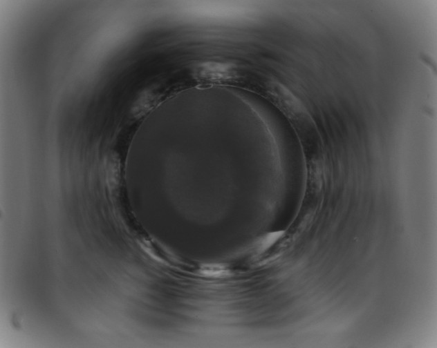 X0000097790760200803071412