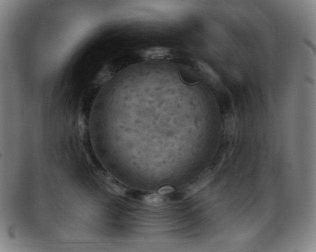X0000097790761200803071412