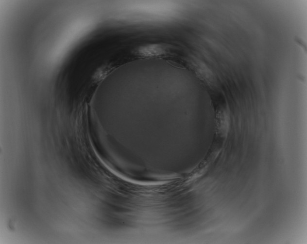 X0000097790762200803071412