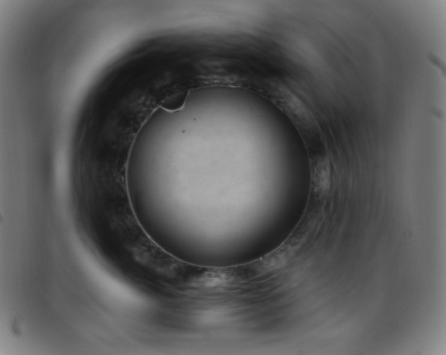 X0000097790764200803071412