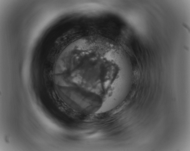 X0000097790765200803071412