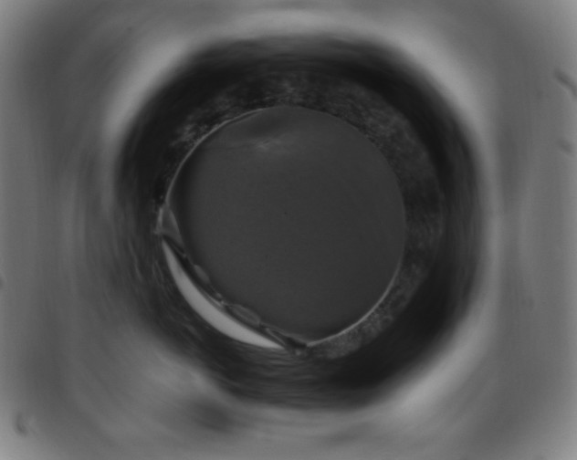 X0000097790766200803071412