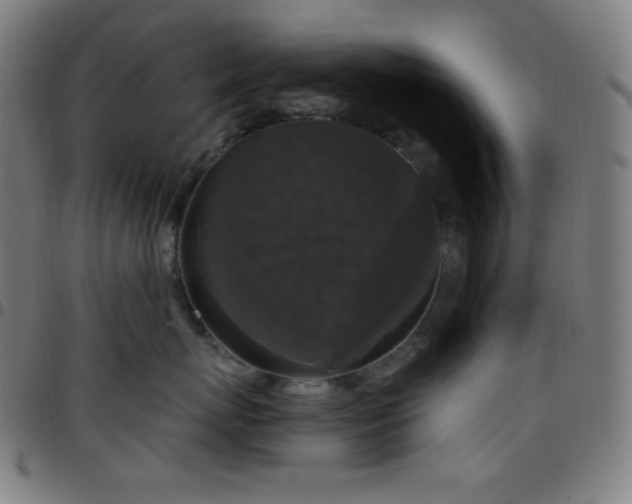 X0000097790767200803071412