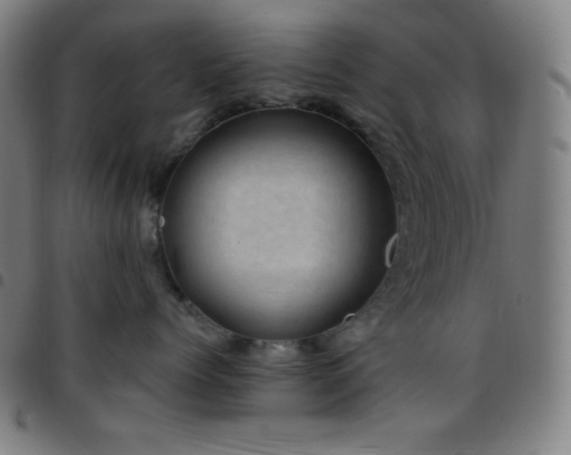 X0000097790768200803071412