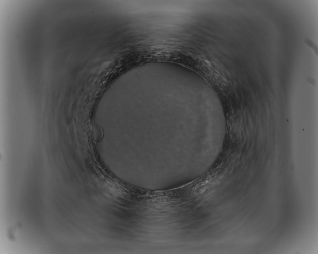 X0000097790769200803071411