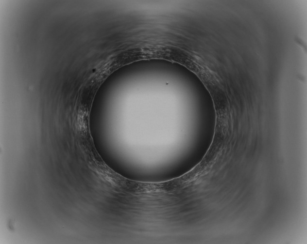 X0000097790770200803071411