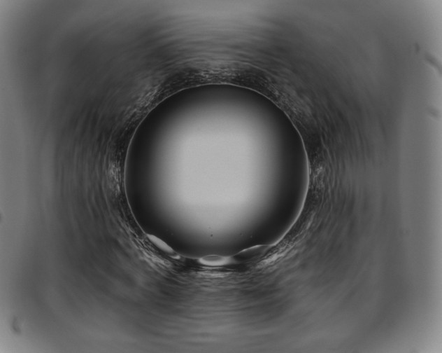 X0000097790772200803071411