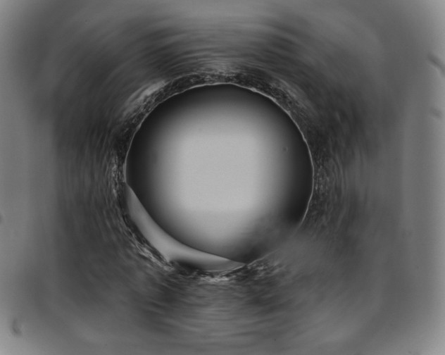 X0000097790773200803071411