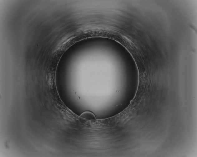 X0000097790774200803071411