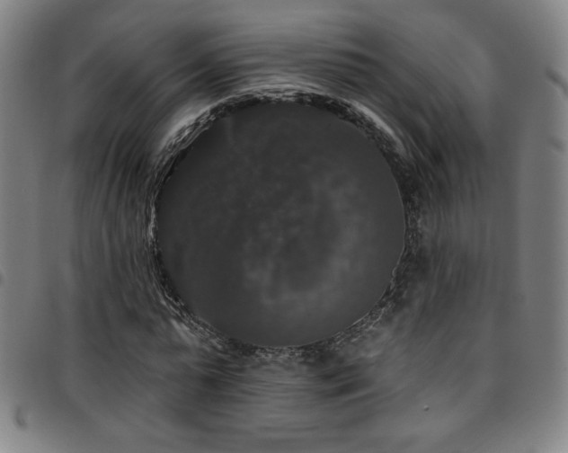 X0000097790775200803071411