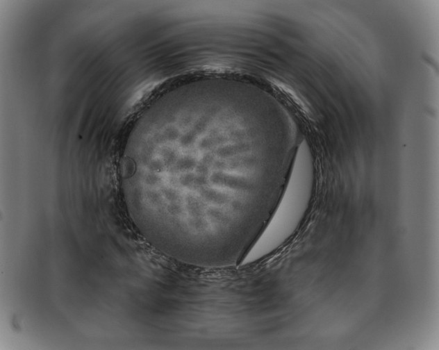 X0000097790776200803071411