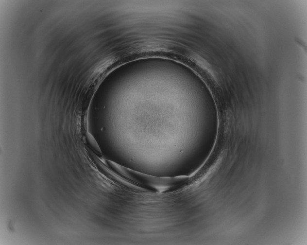 X0000097790777200803071411