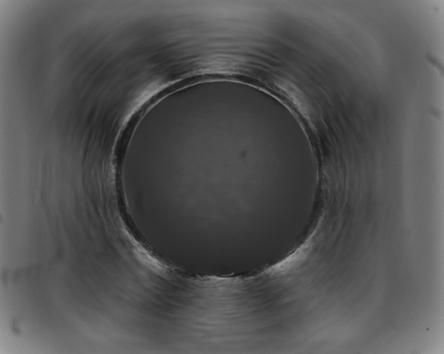 X0000097790779200803071411
