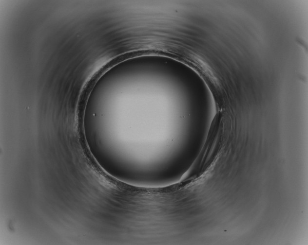 X0000097790780200803071411
