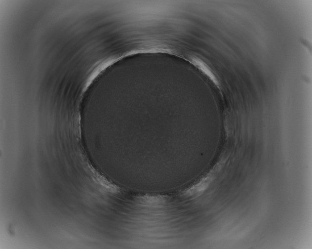 X0000097790781200803071411