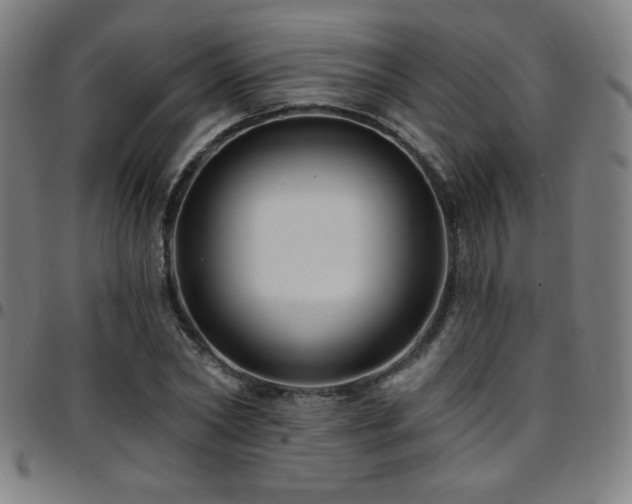 X0000097790782200803071411