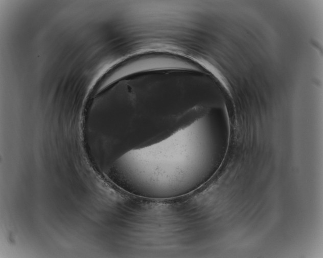 X0000097790783200803071411